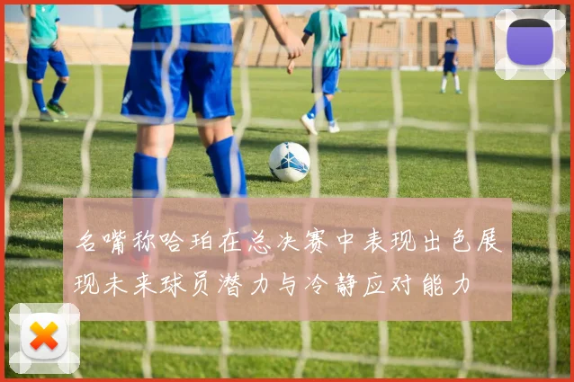 名嘴称哈珀在总决赛中表现出色展现未来球员潜力与冷静应对能力