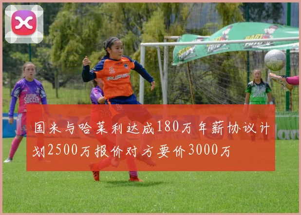 国米与哈莱利达成180万年薪协议计划2500万报价对方要价3000万